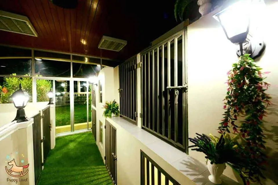Puppy Land Resort 1