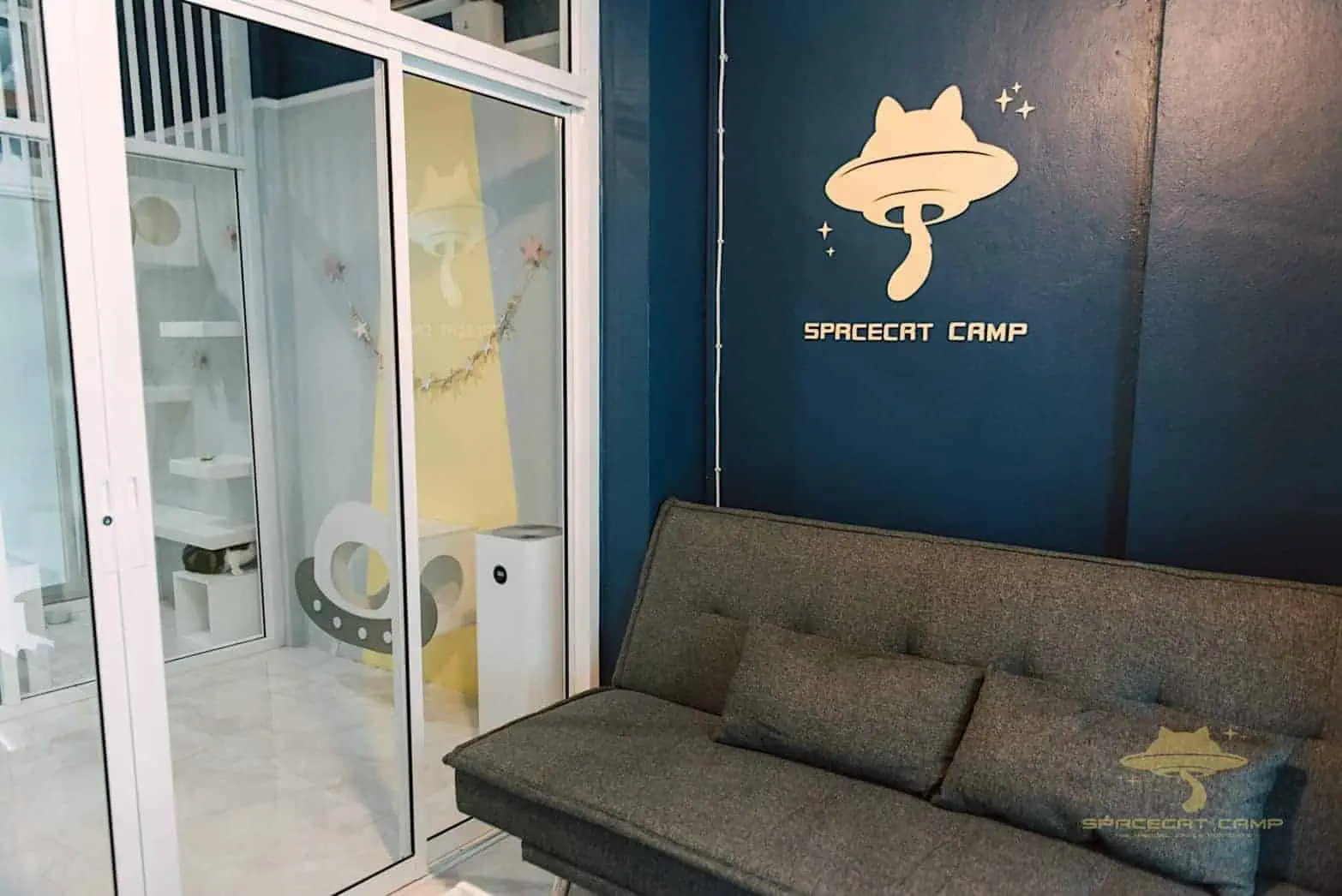 SpaceCat Camp 1