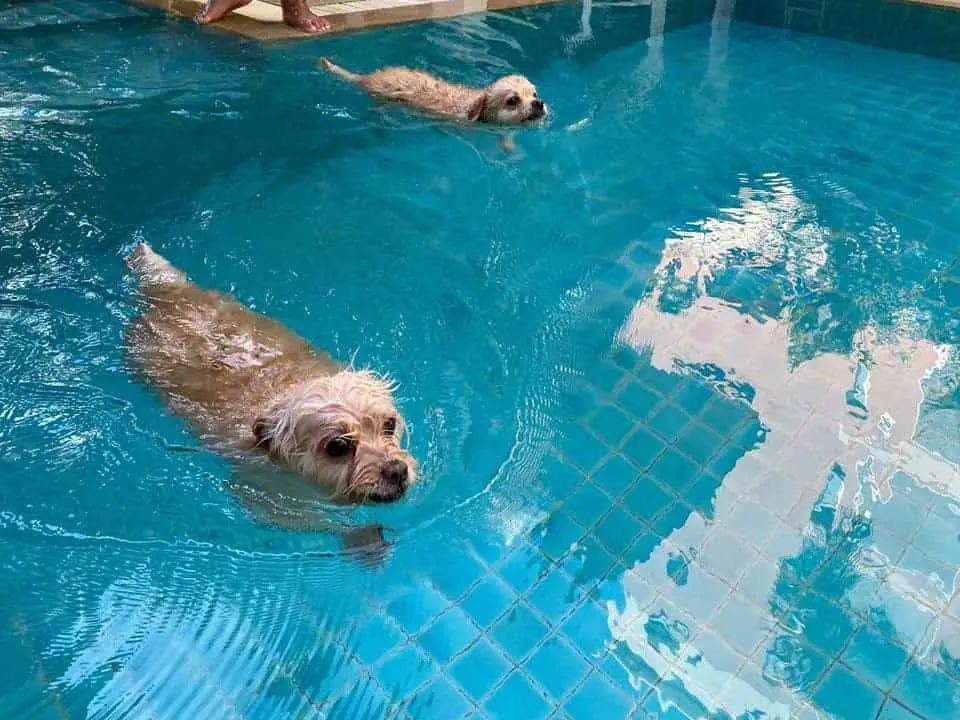 iTube Saline Pool 1
