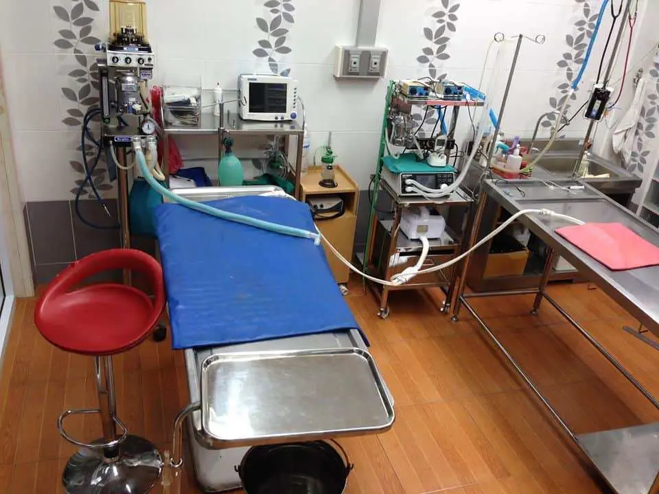 Krungsripethospital (โรงพยาบาลสัตว์กรุงศรี) 1