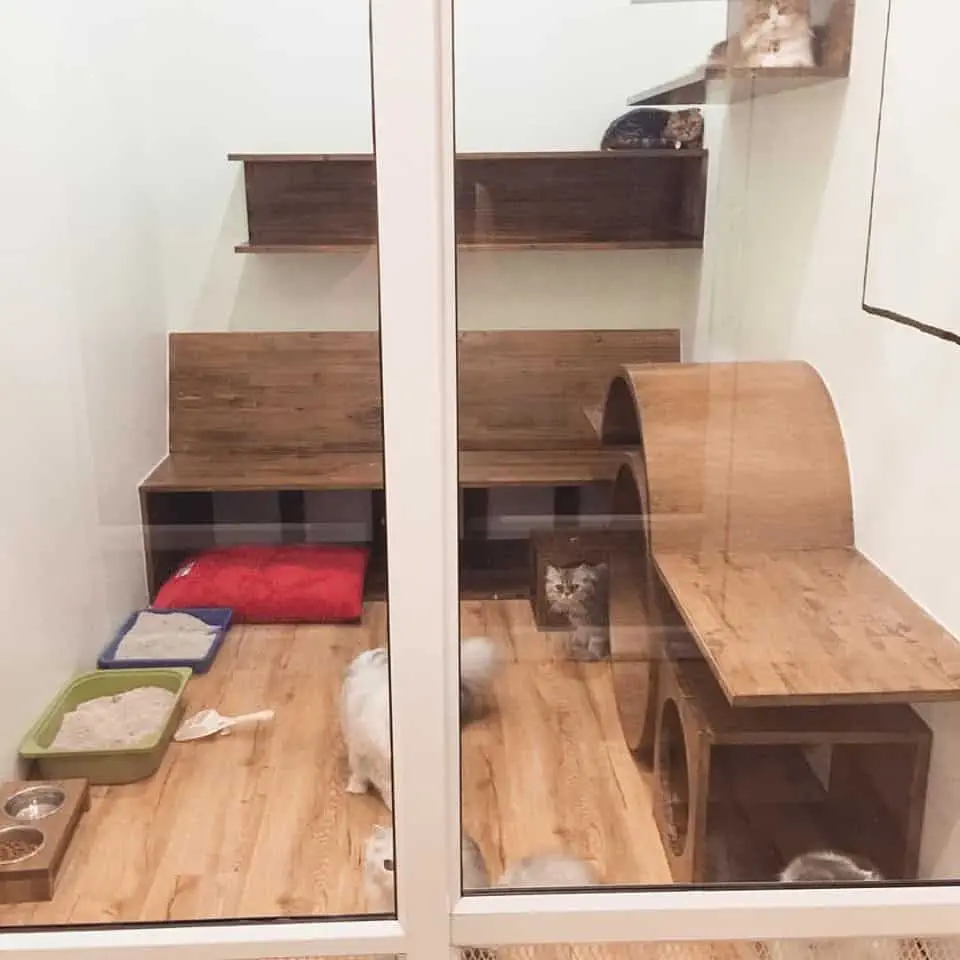 CAT STORY (แคท สตอรี่) Cat Hotel 1