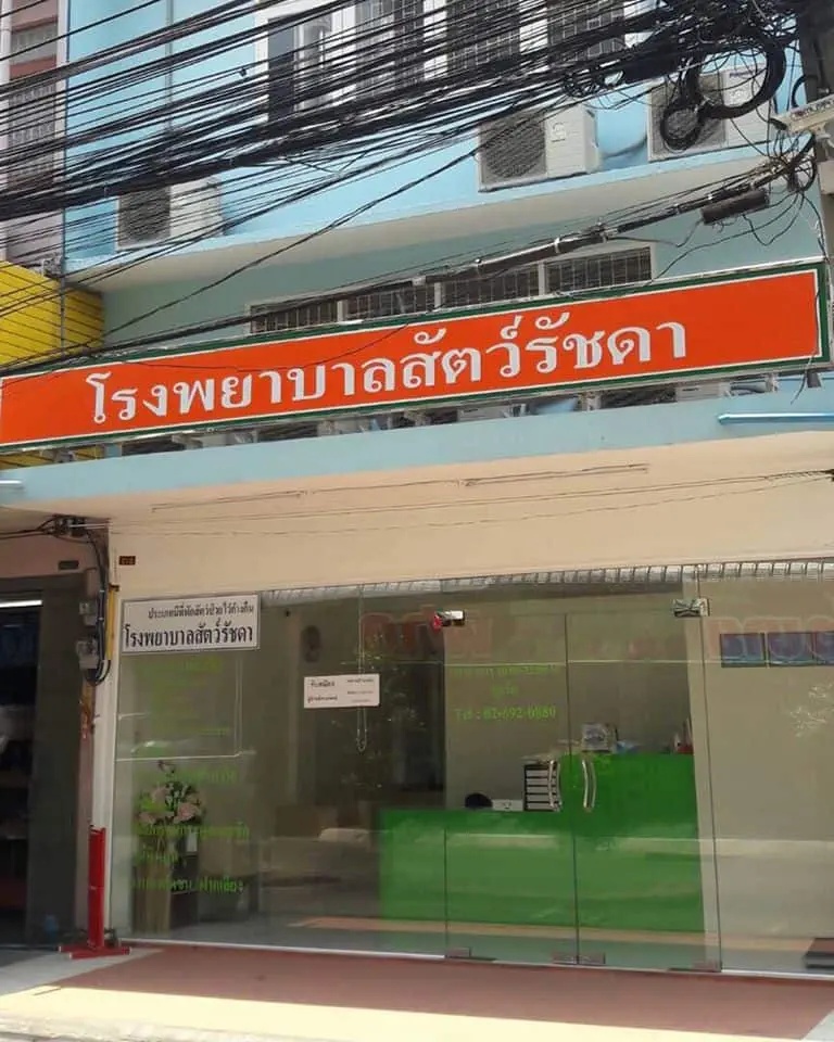 Animal Hospital Ratchada (โรงพยาบาลสัตว์รัชดา) 1