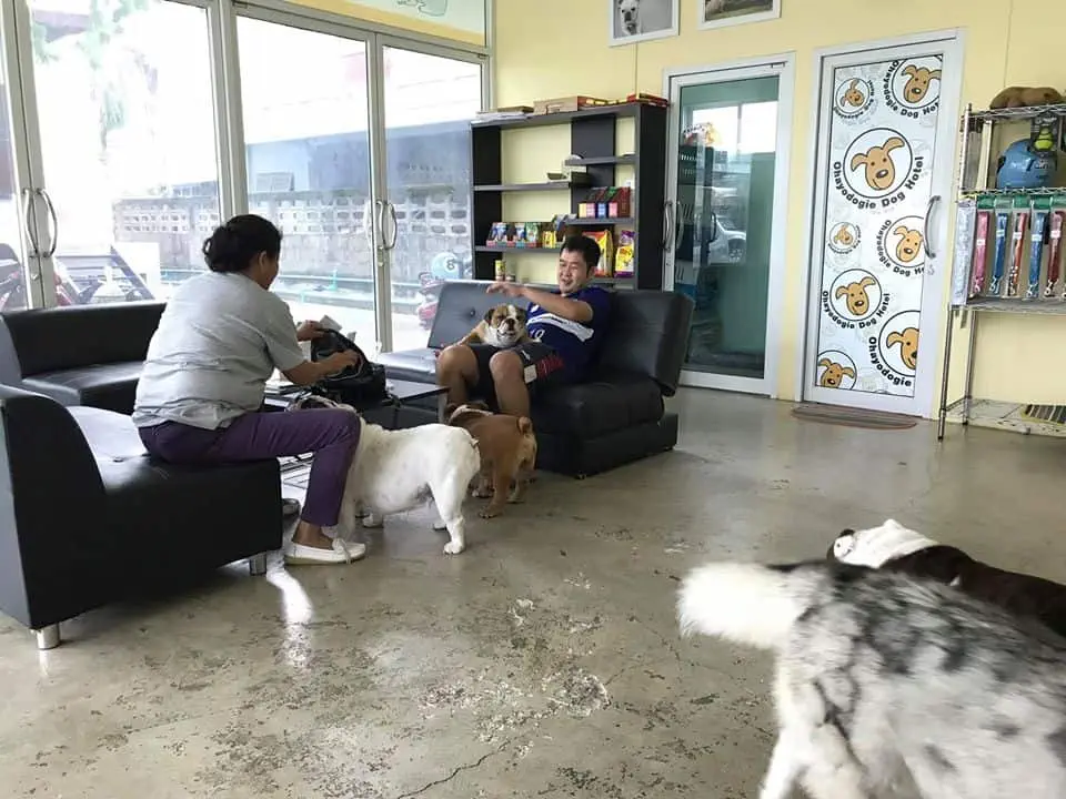 Ohayo Dogie (โอฮาโย โดกี้) Dog Hotel 1