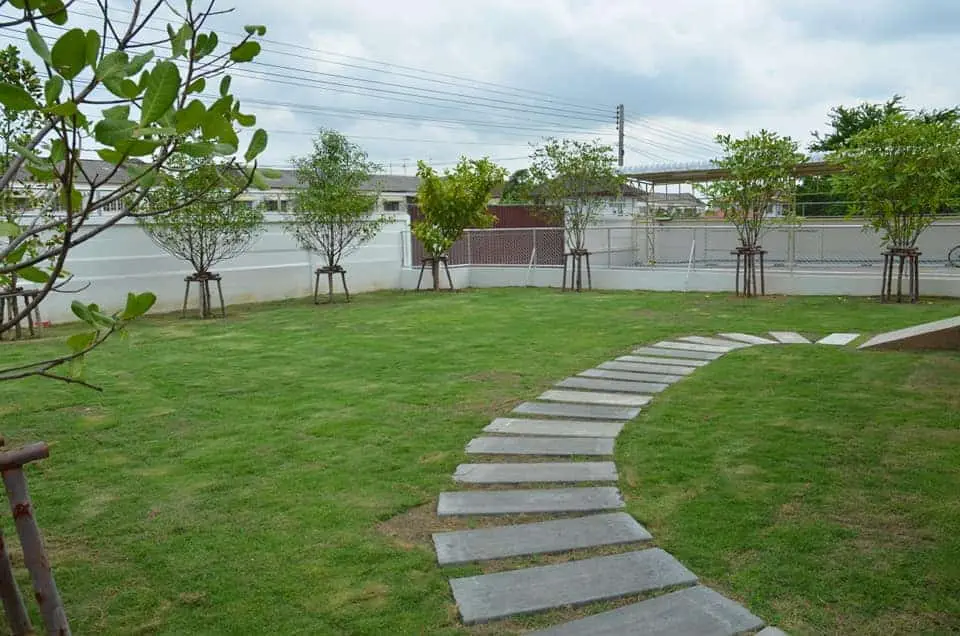 BowWow Center (บาววาว เซ็นเตอร์) 1