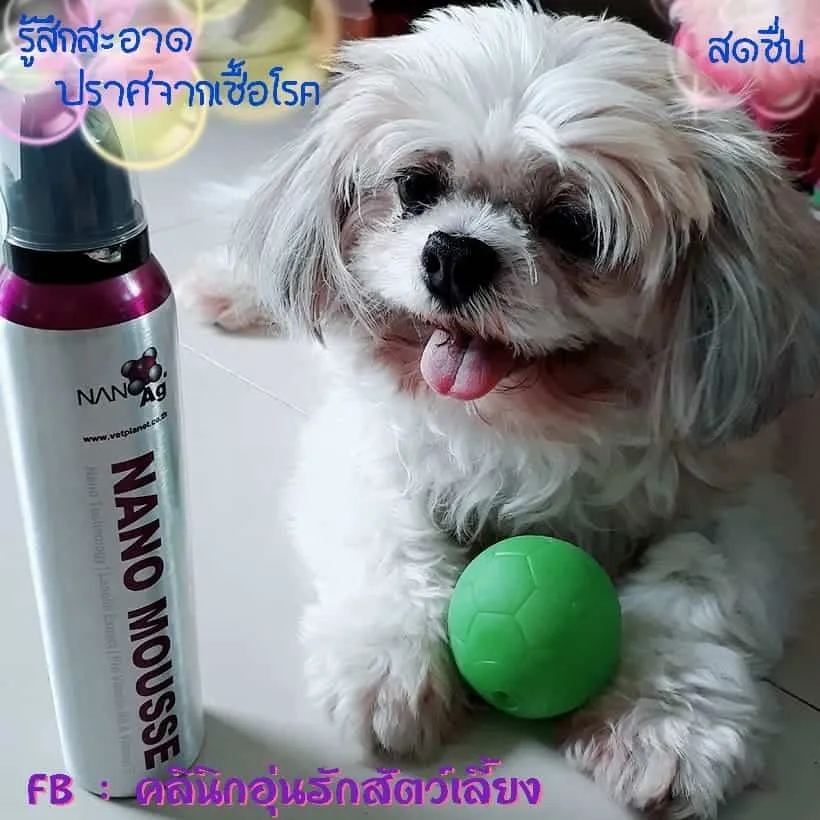Aun Rak Pet Clinic (คลินิกอุ่นรักสัตว์เลี้ยง) 2