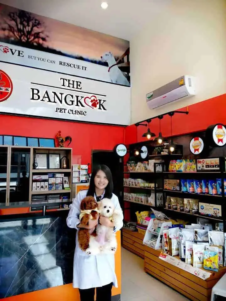 The Bangkok Pet Clinic (เดอะ แบงค็อก เพ็ท คลินิก) 1