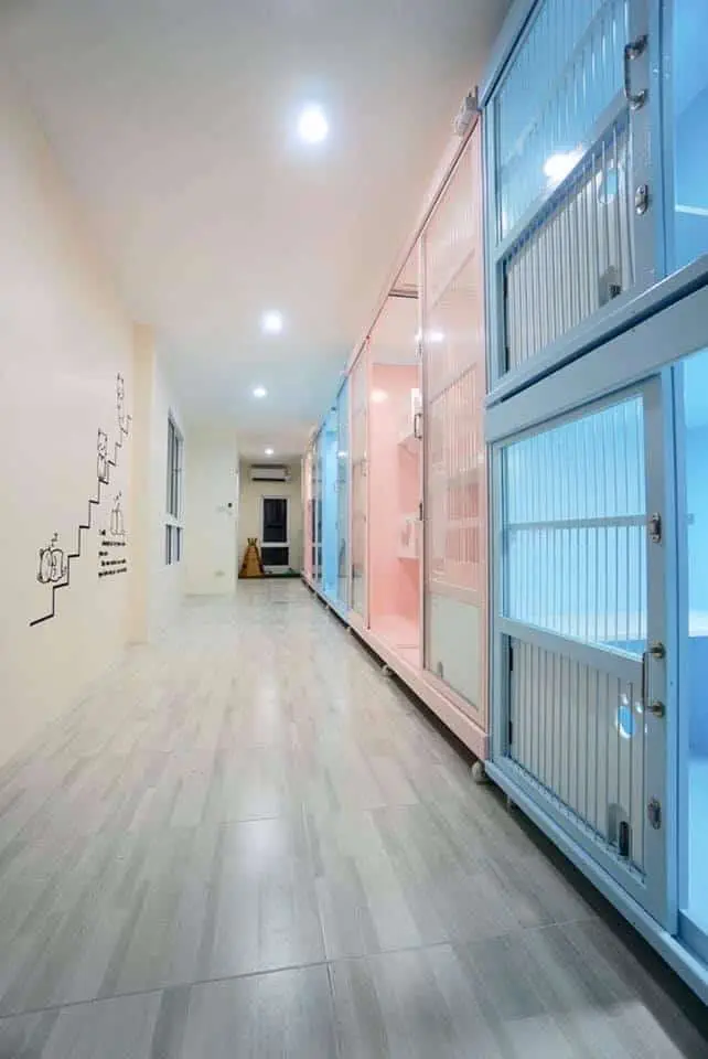 Ryoko Cat Hotel (โรงแรมแมวเรียวโค) Cat Hotel 1