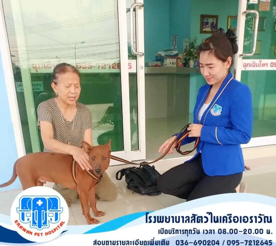 Erawanpetsingburi (โรงพยาบาลสัตว์เอราวัณ ศูนย์สิงห์บุรี) 1