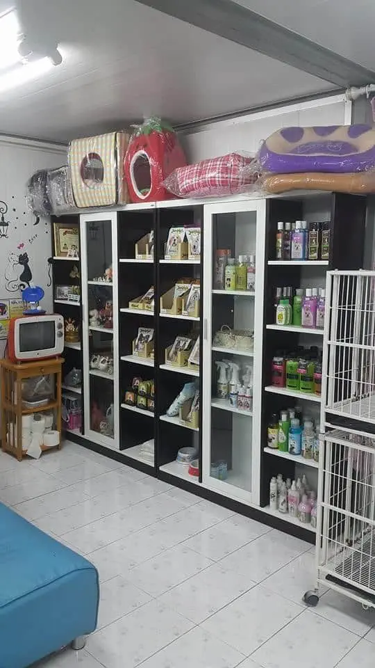 Doggie Dream Grooming (บางบอน) 1
