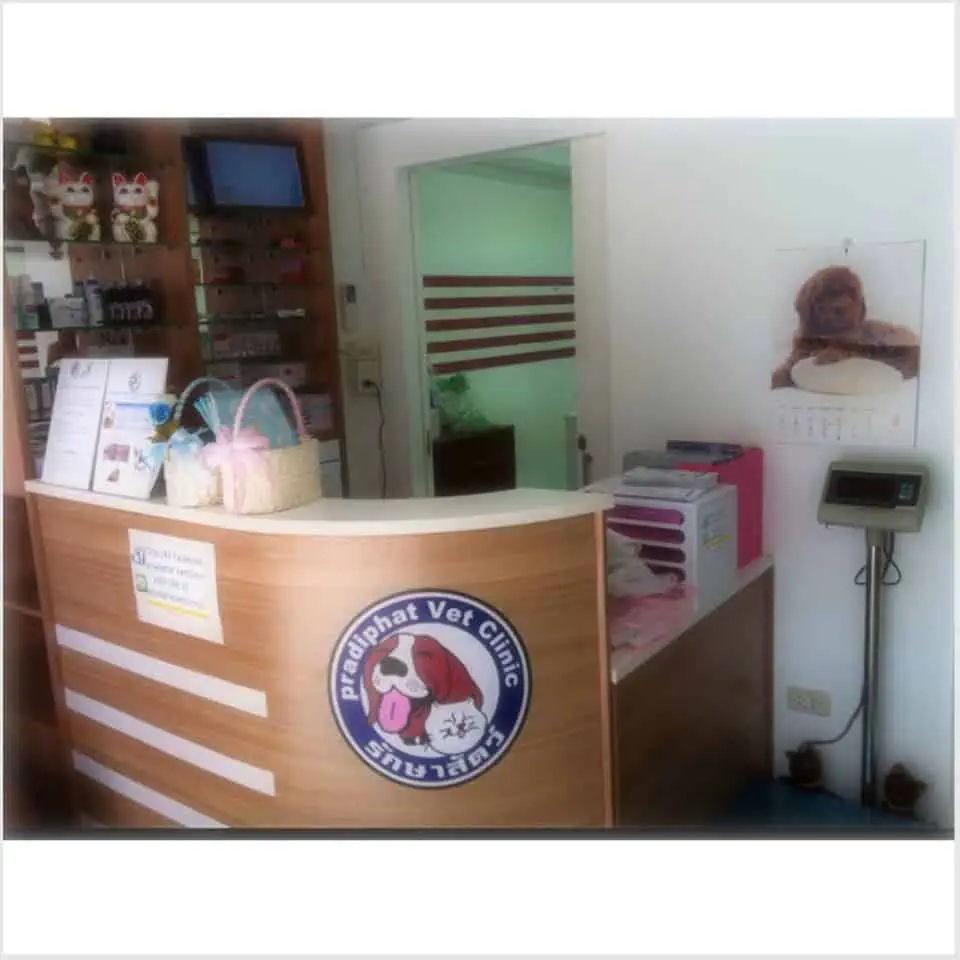 Pradiphat Vet Clinic (ประดิพัทธ์สัตวแพทย์) 1