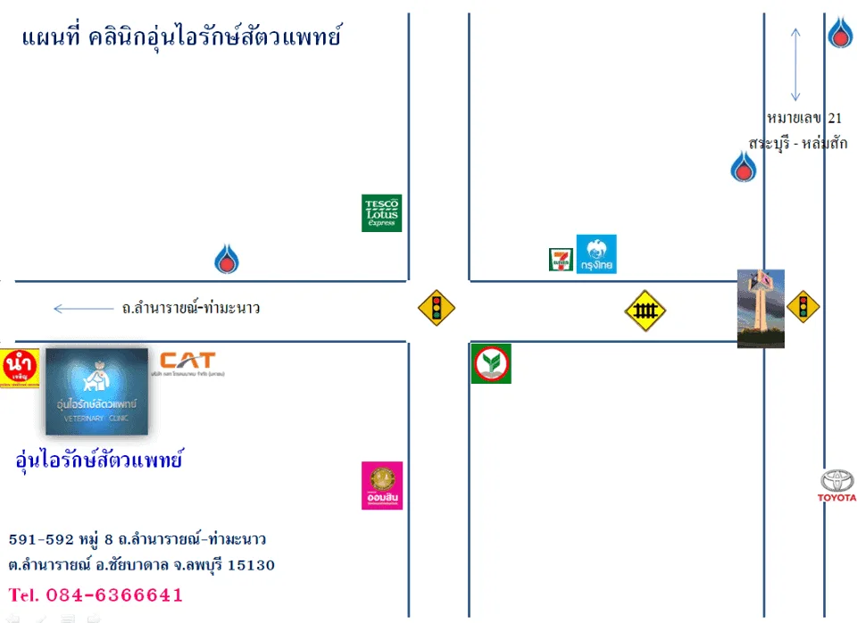 คลินิกอุ่นไอรักษ์สัตวแพทย์ (ลพบุรี) 1
