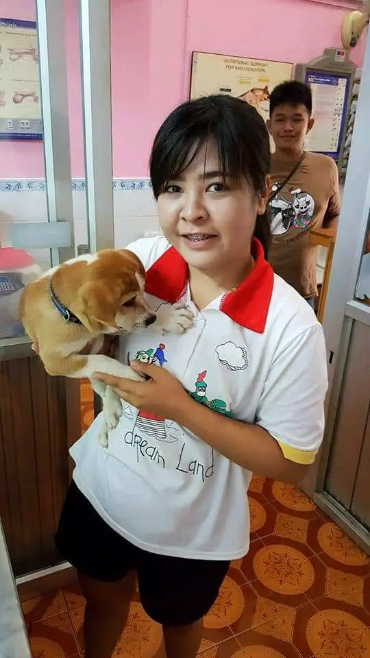 โรงพยาบาลสัตว์ เมืองเลย (หนองผักก้าม) 1