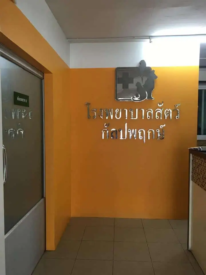 โรงพยาบาลสัตว์กัลปพฤกษ์ (สาขาบางแค) 1