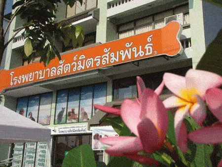 โรงพยาบาลสัตว์มิตรสัมพันธ์ (สาย2) 2