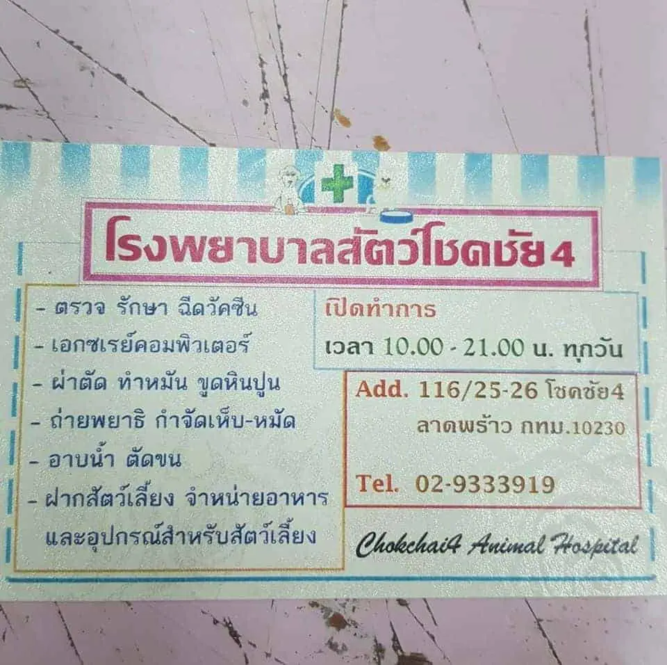 โรงพยาบาลสัตว์โชคชัย4 1