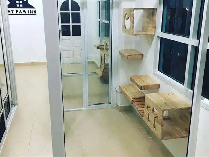 CAT PAW INN (Cat Hotel) 1