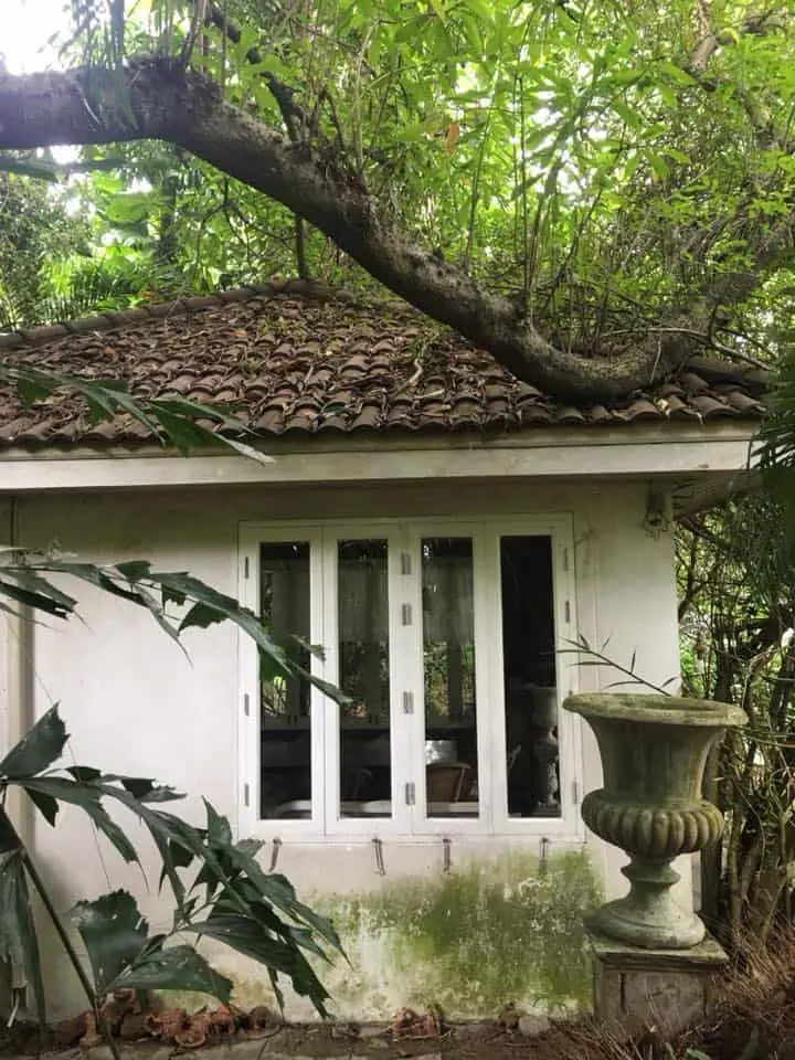 Little Tree Garden Cafe (สามพราน) 1