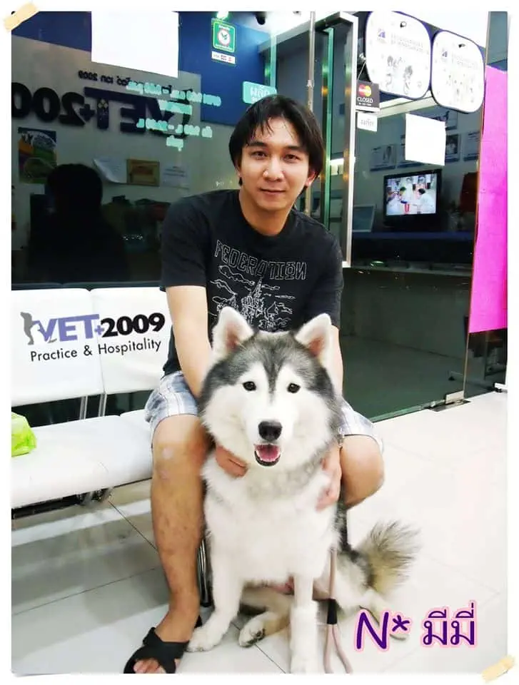 VET 2009 Pet Hospital (โรงพยาบาลสัตว์ เวท 2009) 1