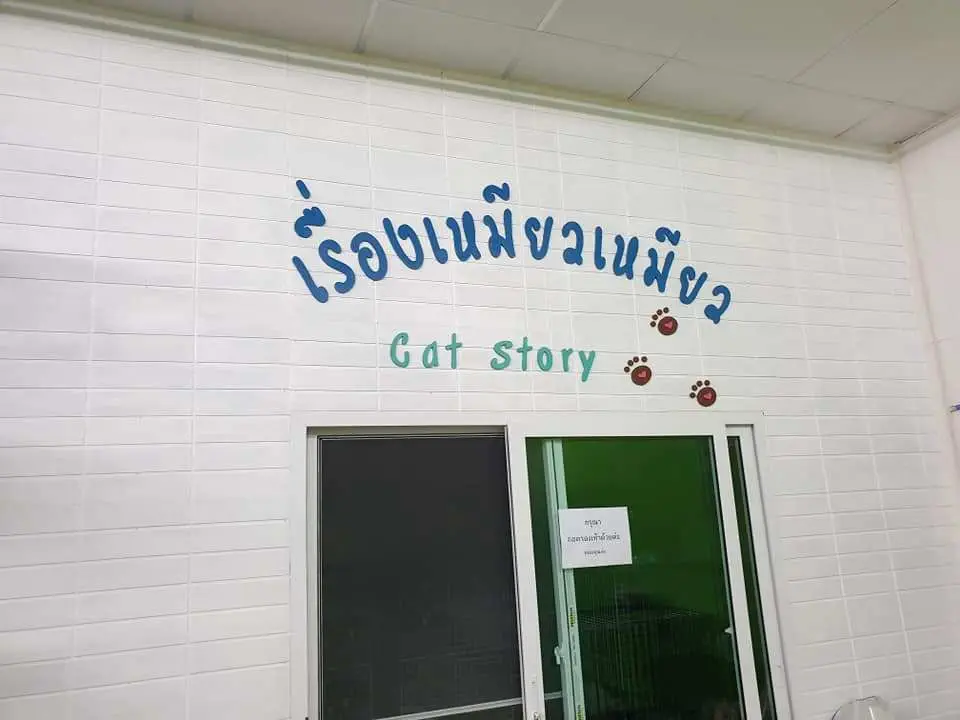 โรงพยาบาลสัตว์อัมพวา (บ้านปรก) Amphawa Pet Hospital 1