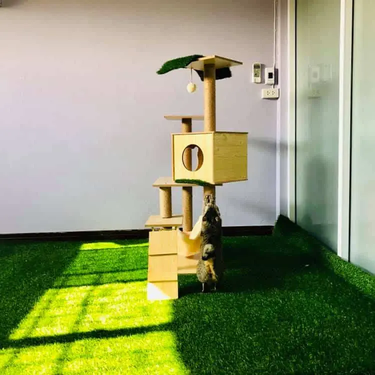 โรงพยาบาลสัตว์อิ่มสุข Imsook Animal Hospital 1