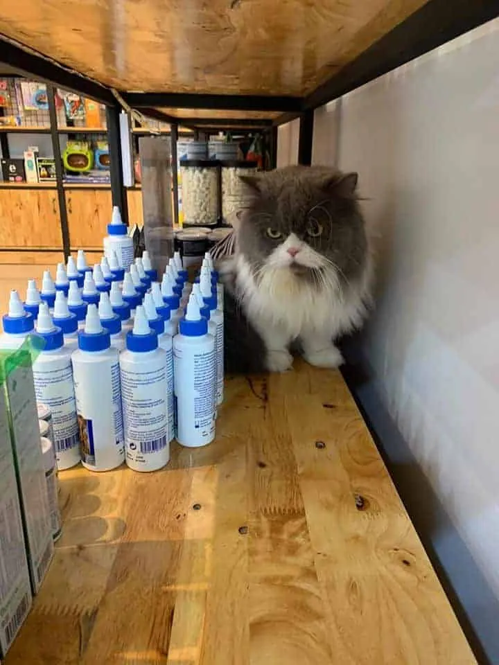 J.P. Animal Hospital (โรงพยาบาลสัตว์จตุรวิทย์) 6