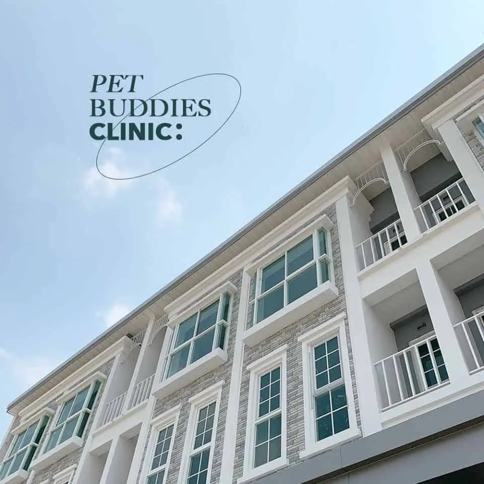 Pet Buddies Clinic (คลินิกเพ็ทบัดดี้รักษาสัตว์) 1