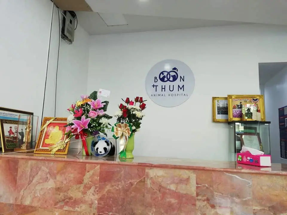 Boonthum Animal Hospital (โรงพยาบาลสัตว์บุญธรรม) 1
