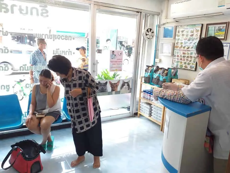 JPC Pet Clinic (ใจประเสริฐเพ็ทคลินิก) 1