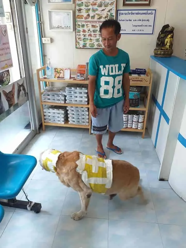 JPC Pet Clinic (ใจประเสริฐเพ็ทคลินิก) 4