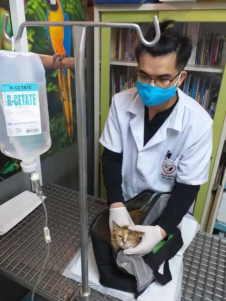 JPC Pet Clinic (ใจประเสริฐเพ็ทคลินิก) 5