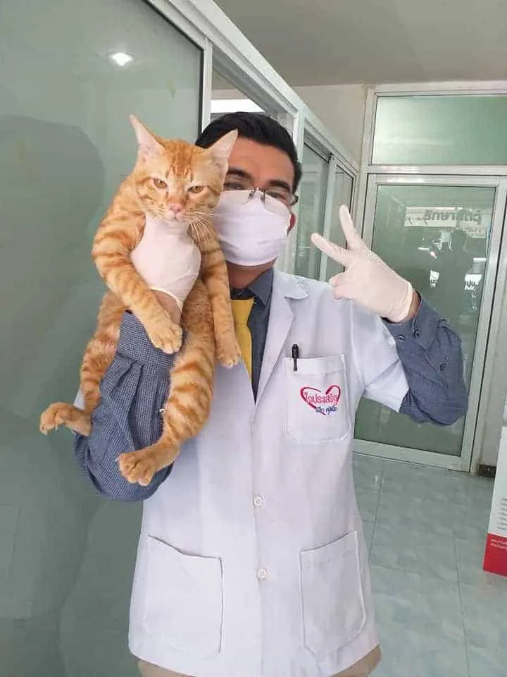 JPC Pet Clinic (ใจประเสริฐเพ็ทคลินิก) 6