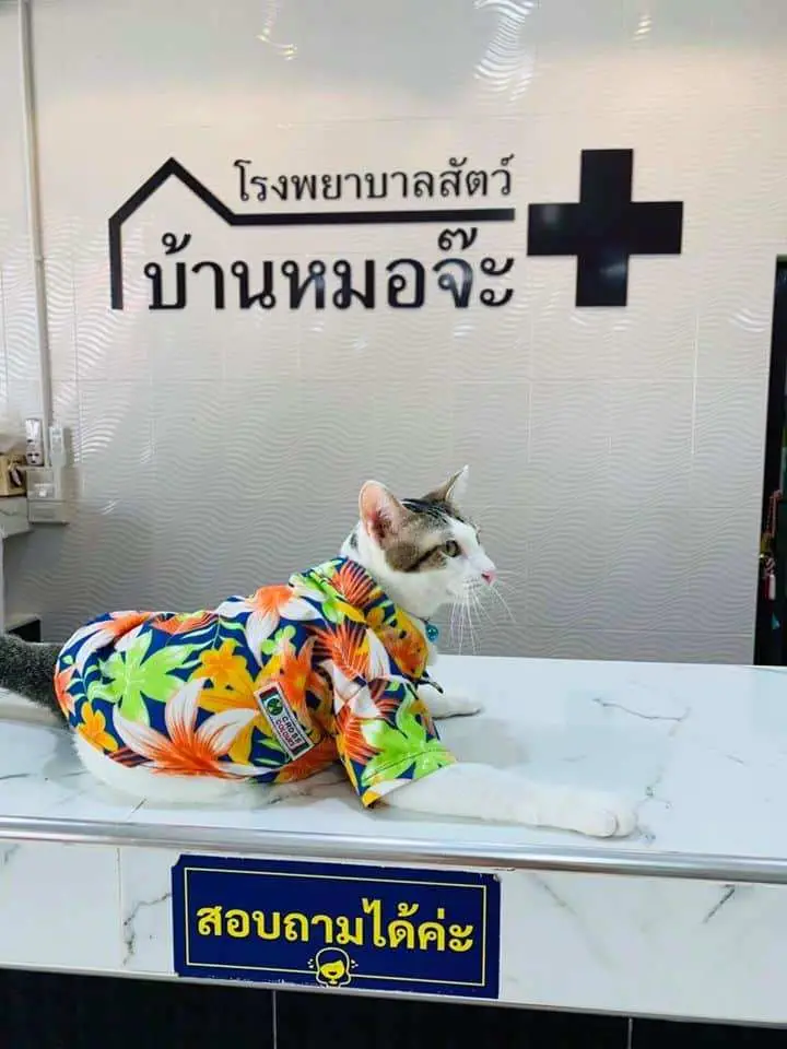 โรงพยาบาลสัตว์บ้านหมอจ๊ะ (ปราจีนบุรี) 1