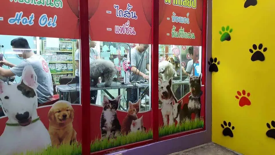 Pet Beauty (เพ็ทบิวตี้) 1
