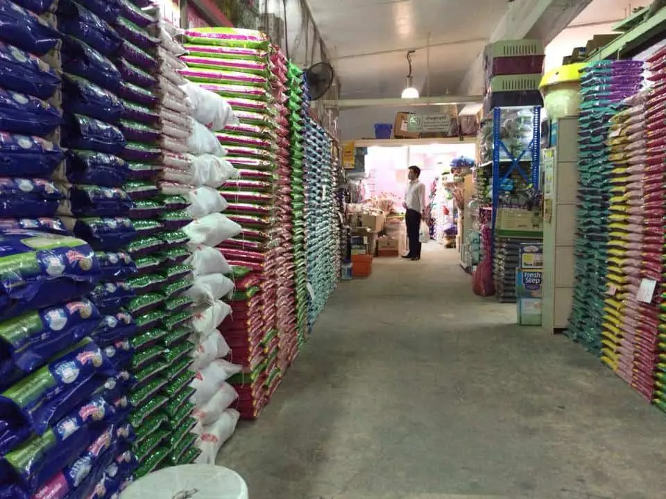 STAR Petshop (สตาร์เพ็ทช็อป) 1