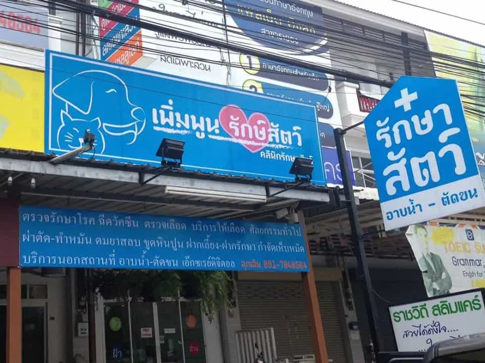 Prempoon Pet Hoapital (โรงพยาบาลสัตว์เพิ่มพูนรักษาสัตว์) 1