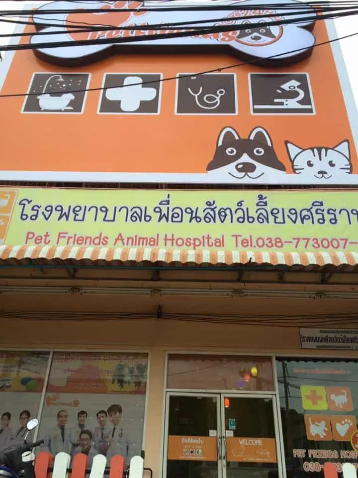 Petfriends Hospital (โรงพยาบาลเพื่อนสัตว์เลี้ยงศรีราชา) 1