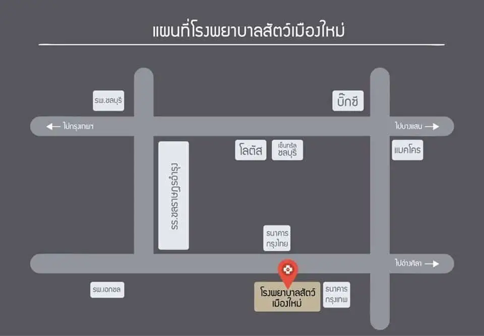 โรงพยาบาลสัตว์เมืองใหม่ Muangmai Pet Hospital 1