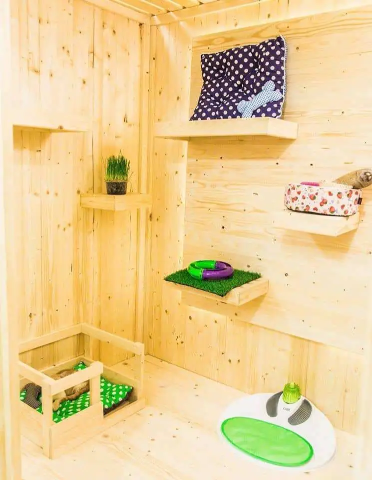 Katze Cat Hotel (โรงแรมแมวคัทเซ่ะ) 1