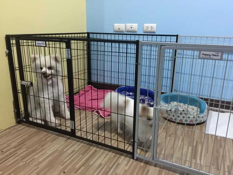 The Pet Ban Pho (เดอะเพ็ทสัตวแพทย์) 1