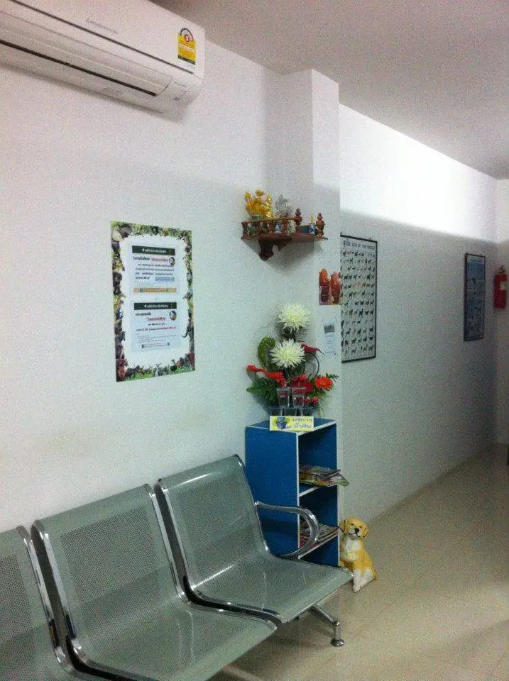 คลินิกรักษาสัตว์เนินพระ ระยอง (หมออ๊อฟ) 1