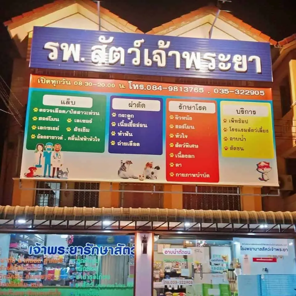 โรงพยาบาลสัตว์เจ้าพระยา Chaophraya Pet Hospital 1