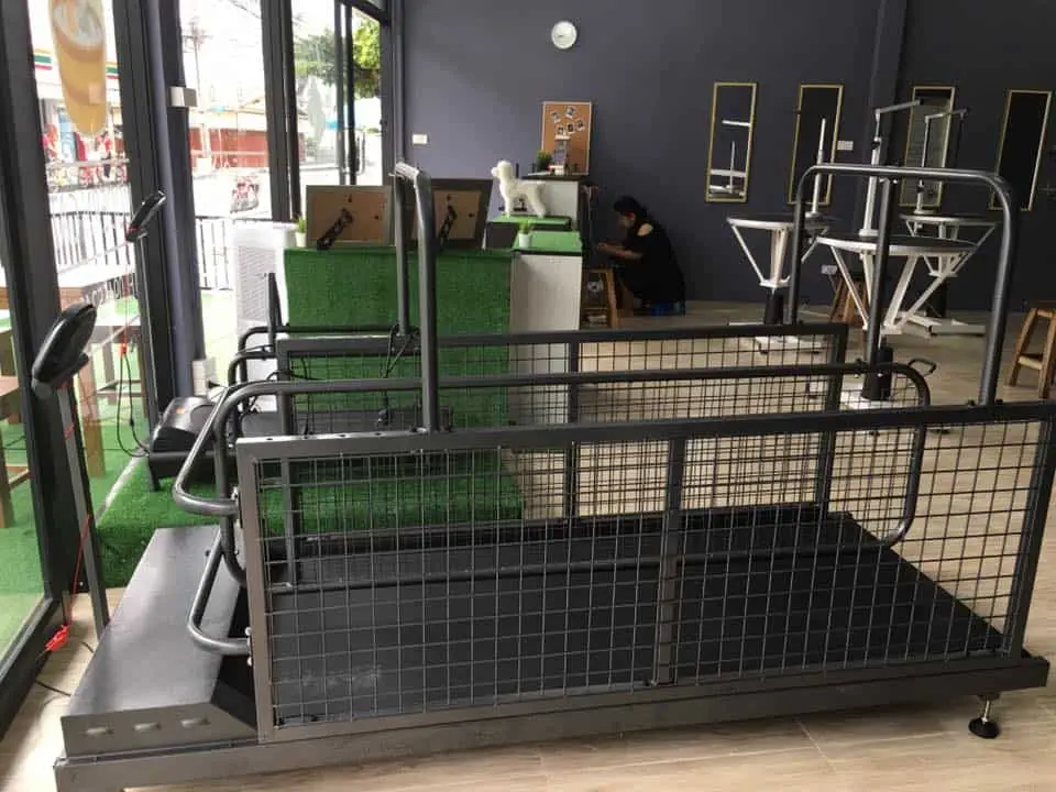 Modern Dog Grooming and School (ตัดขนสุนัขและสอนตัดขน) 1