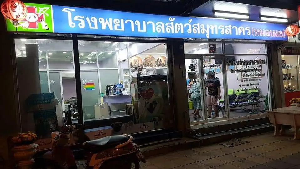 โรงพยาบาลสัตว์สมุทรสาคร (หมอบอย) 1