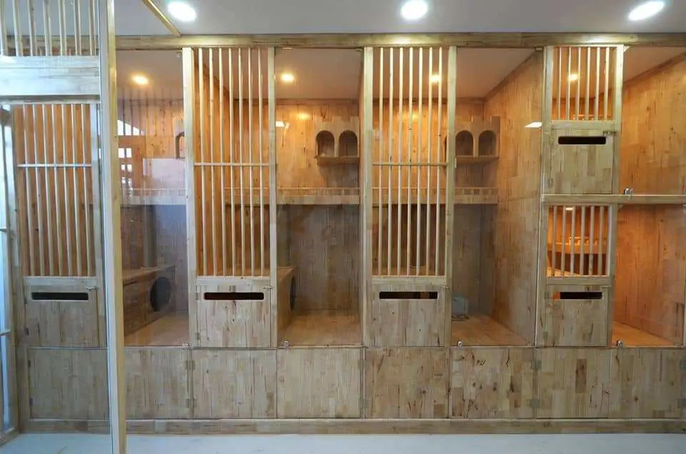 Caterium Cat Hotel (โรงแรมแมว แคทเทอเรียม) 1