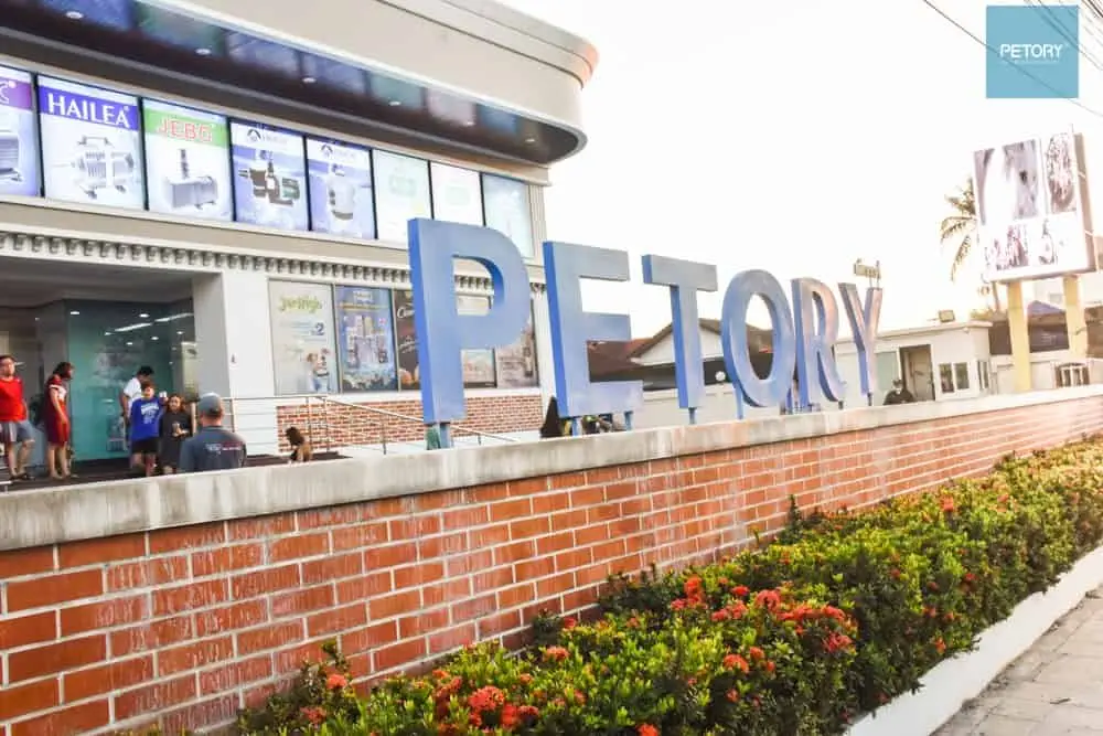 Petory 1