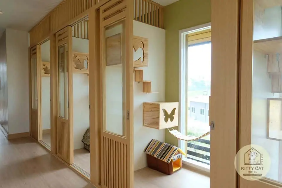 Kitty Cat Hotel (โรงแรมแมว คิตตี้แคท) 1