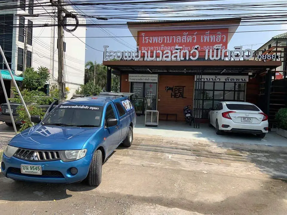 Pet Heal Animal Hospital (โรงพยาบาลสัตว์เพ็ทฮิว) 1
