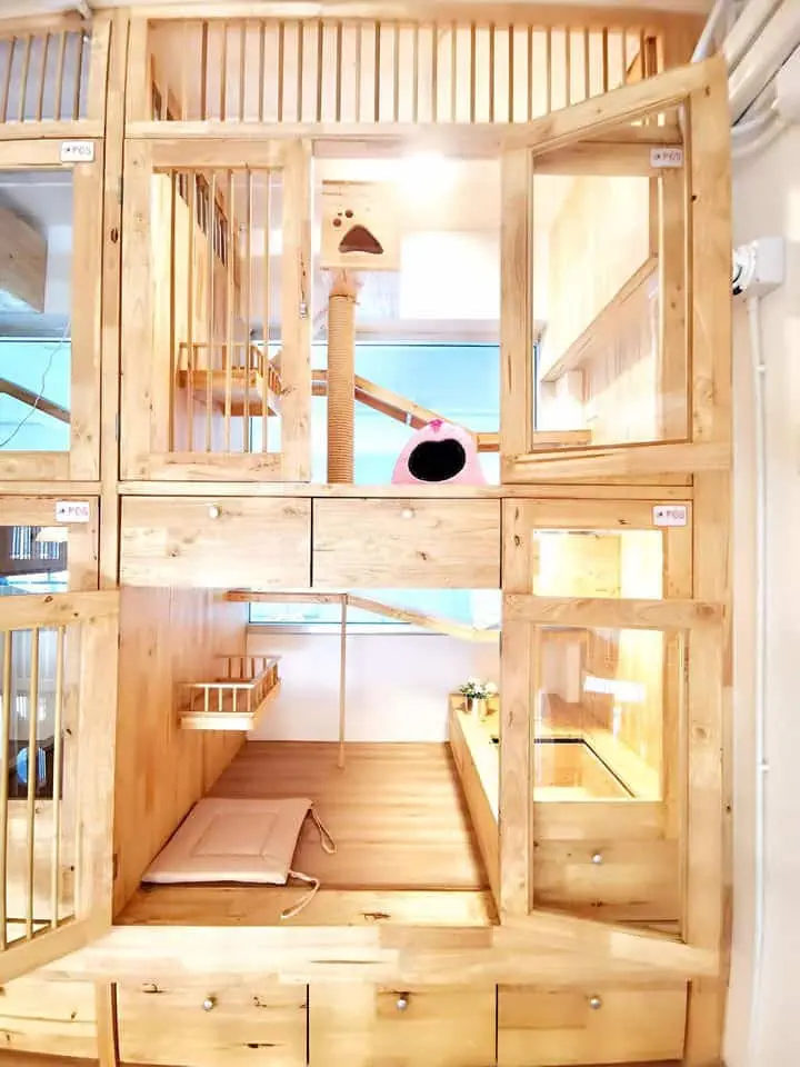 Mao Mao Cat Hotel (พัทยา) 1
