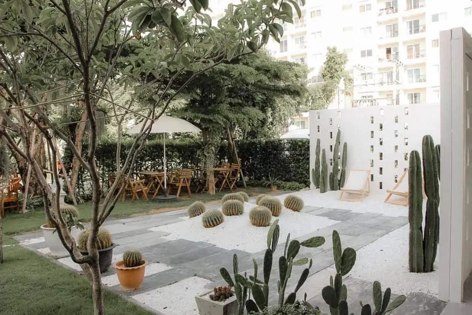 Breeze Box Cafe & Cactus บรีซ บ็อกซ์ คาเฟ่ 1