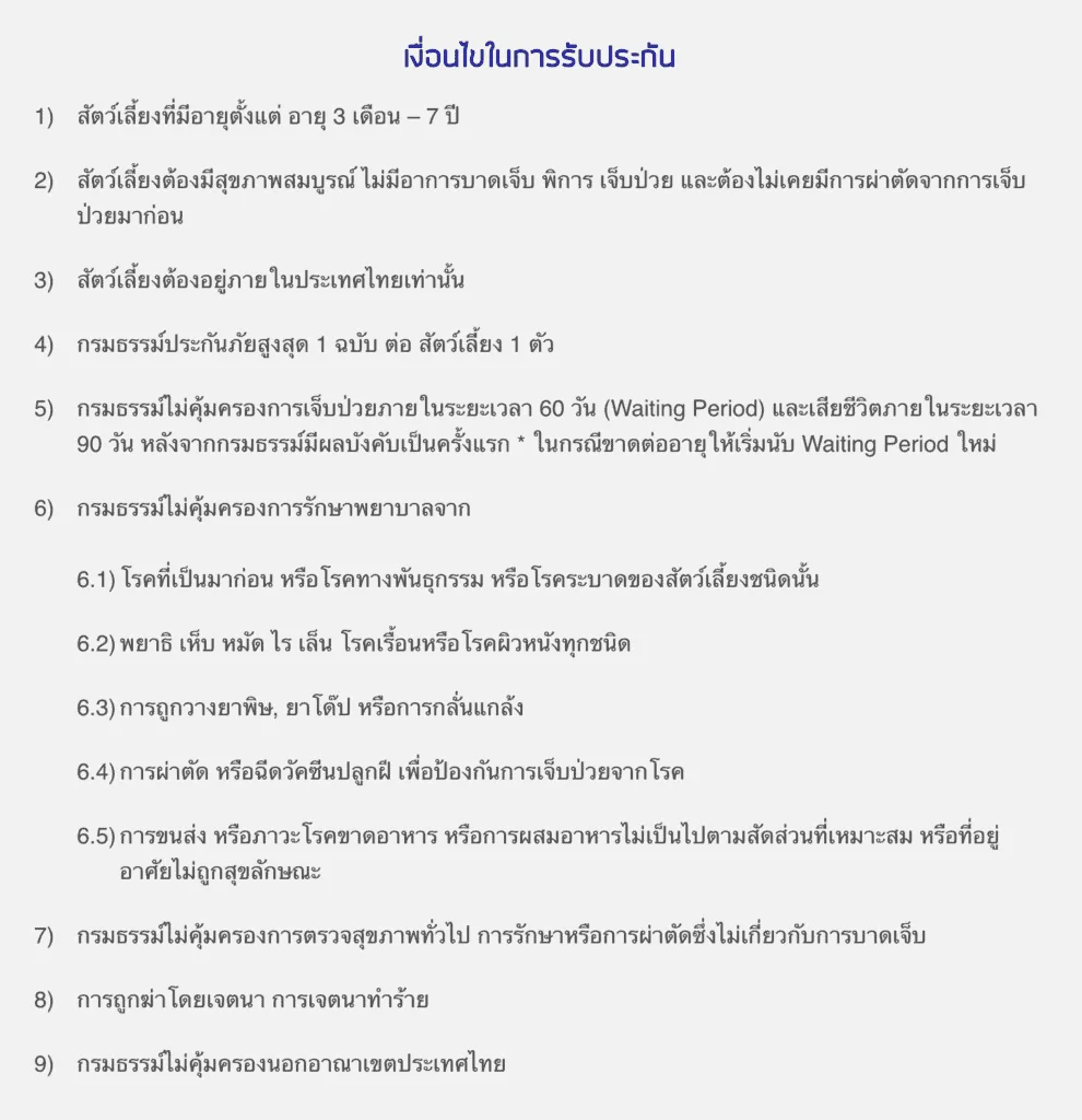 ประกันหมาแมว ประกันสัตว์เลี้ยง 2021 เปรียบเทียบทำที่ไหนดี เริ่ม ฿500 ต่อปี 10 ประกันหมาแมว ประกันสัตว์เลี้ยง 2021 เปรียบเทียบทำที่ไหนดี เริ่ม ฿500 ต่อปี 6